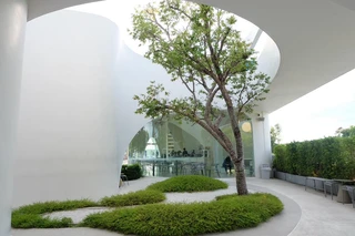 ลานคอร์ตยาร์ดวิวกว้างกระจกและต้นไม้ Uncloud Coffee