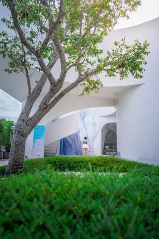 แขกเดินเข้าหาผนังแสงเหนือจากสวน Uncloud Coffee